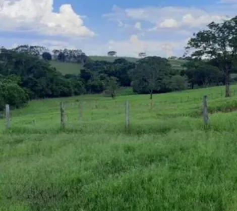 Comprar Rural / S&iacute;tio em Bady Bassitt R$ 2.300.000,00 - Foto 9