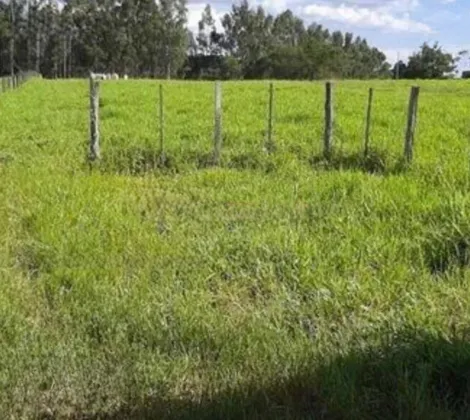 Comprar Rural / S&iacute;tio em Bady Bassitt R$ 2.300.000,00 - Foto 10