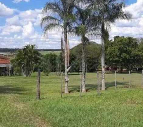 Comprar Rural / S&iacute;tio em Bady Bassitt R$ 2.300.000,00 - Foto 11