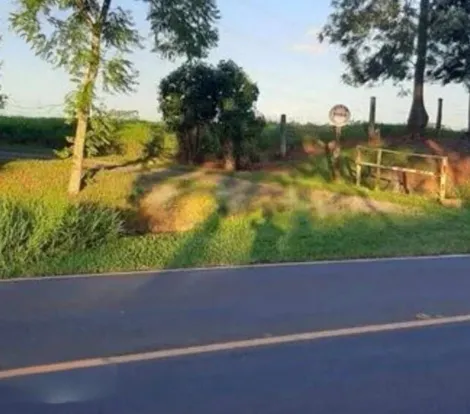 Comprar Rural / S&iacute;tio em Bady Bassitt R$ 2.300.000,00 - Foto 12
