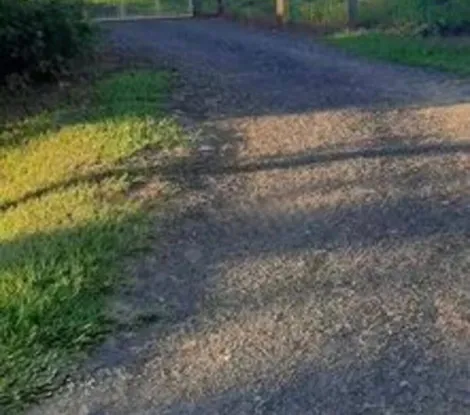 Comprar Rural / S&iacute;tio em Bady Bassitt R$ 2.300.000,00 - Foto 13