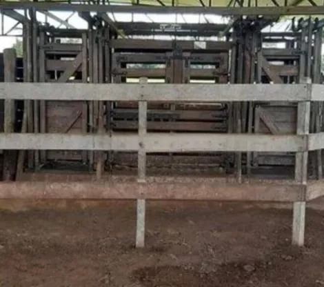 Comprar Rural / S&iacute;tio em Bady Bassitt R$ 2.300.000,00 - Foto 14