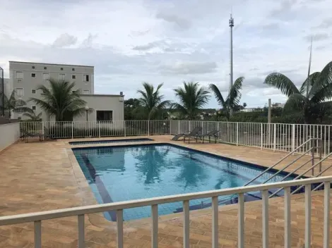 Alugar Apartamento / Padr&atilde;o em S&atilde;o Jos&eacute; do Rio Preto R$ 1.250,00 - Foto 4