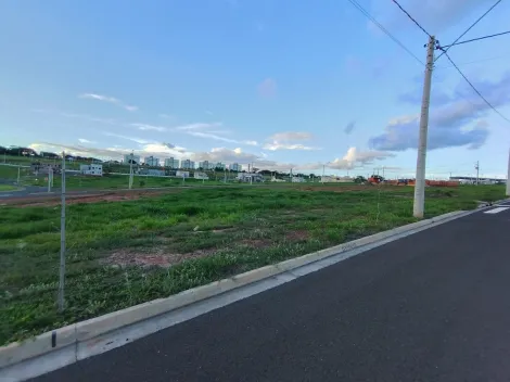 Terreno / Condom&iacute;nio em S&atilde;o Jos&eacute; do Rio Preto 