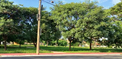 Comprar Casa / Padr&atilde;o em S&atilde;o Jos&eacute; do Rio Preto R$ 970.000,00 - Foto 2