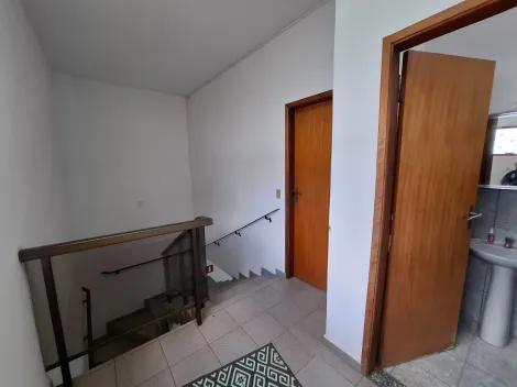 Alugar Comercial / Casa Comercial em S&atilde;o Jos&eacute; do Rio Preto R$ 3.500,00 - Foto 20