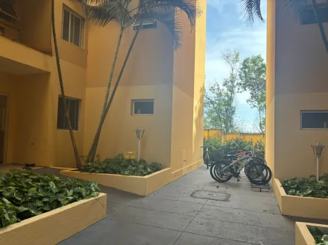 Alugar Apartamento / Padr&atilde;o em S&atilde;o Jos&eacute; do Rio Preto R$ 900,00 - Foto 11