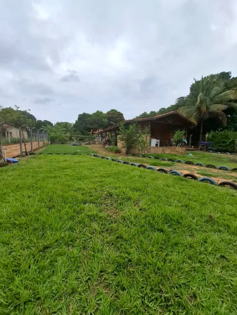 Rural / Ch&aacute;cara em Adolfo 