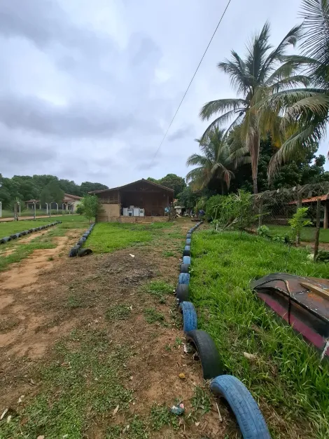 Comprar Rural / Ch&aacute;cara em Adolfo R$ 180.000,00 - Foto 2