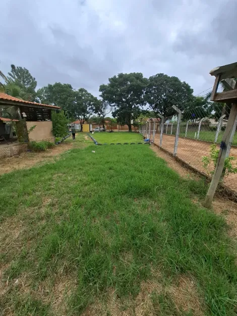 Comprar Rural / Ch&aacute;cara em Adolfo R$ 180.000,00 - Foto 3
