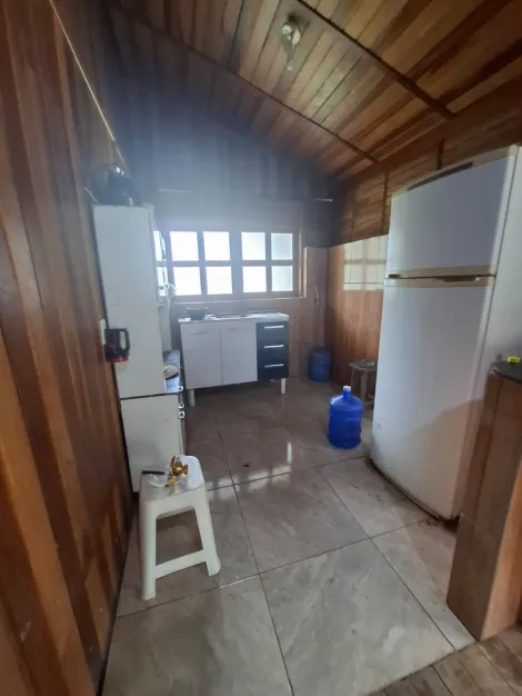 Comprar Rural / Ch&aacute;cara em Adolfo R$ 180.000,00 - Foto 4