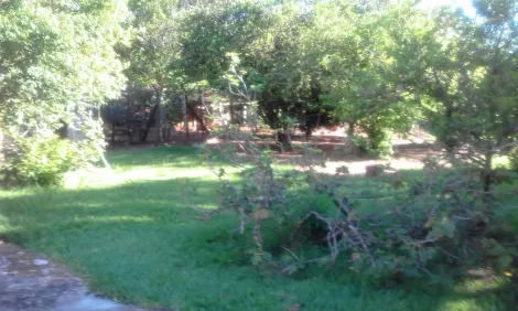 Comprar Rural / Ch&aacute;cara em S&atilde;o Jos&eacute; do Rio Preto R$ 1.500.000,00 - Foto 26