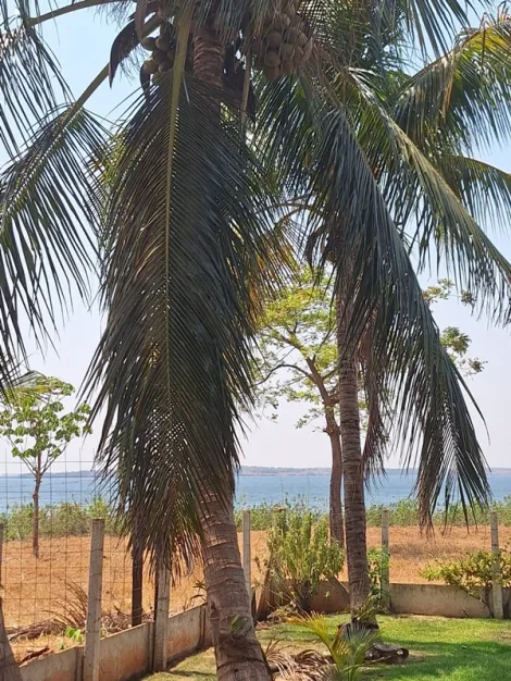 Comprar Rural / Fazenda em Santa Albertina R$ 7.000.000,00 - Foto 8