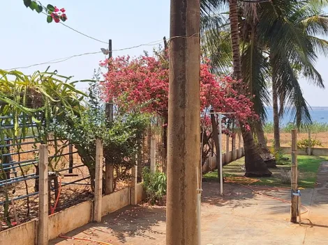 Comprar Rural / Fazenda em Santa Albertina R$ 7.000.000,00 - Foto 10