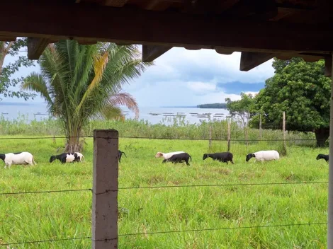 Comprar Rural / Fazenda em Santa Albertina R$ 7.000.000,00 - Foto 11