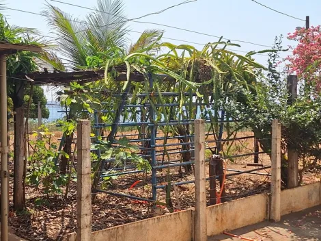 Comprar Rural / Fazenda em Santa Albertina R$ 7.000.000,00 - Foto 14