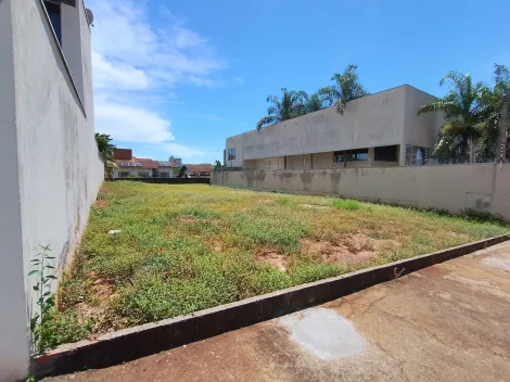 Terreno / &Aacute;rea em S&atilde;o Jos&eacute; do Rio Preto 