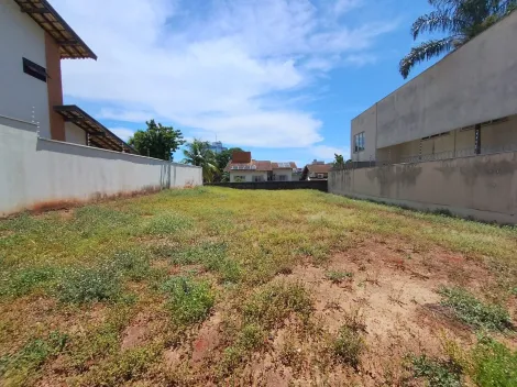 Comprar Terreno / &Aacute;rea em S&atilde;o Jos&eacute; do Rio Preto R$ 1.050.000,00 - Foto 4