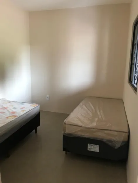 Alugar Comercial / Casa Comercial em Mirassol R$ 8.000,00 - Foto 13