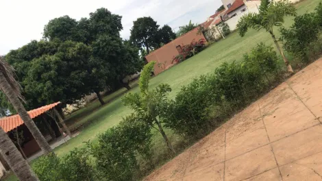 Alugar Comercial / Casa Comercial em Mirassol R$ 8.000,00 - Foto 16