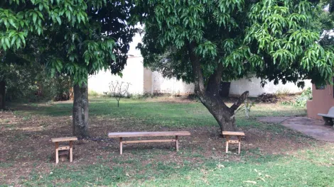 Alugar Comercial / Casa Comercial em Mirassol R$ 8.000,00 - Foto 19