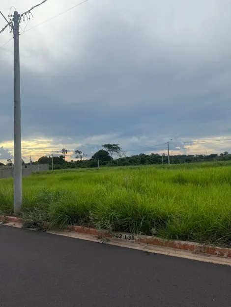 Alugar Terreno / Padr&atilde;o em Bady Bassitt. apenas R$ 70.000,00