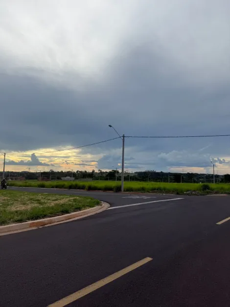 Comprar Terreno / Padr&atilde;o em Bady Bassitt R$ 70.000,00 - Foto 2