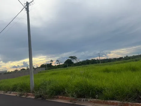Comprar Terreno / Padr&atilde;o em Bady Bassitt R$ 70.000,00 - Foto 4