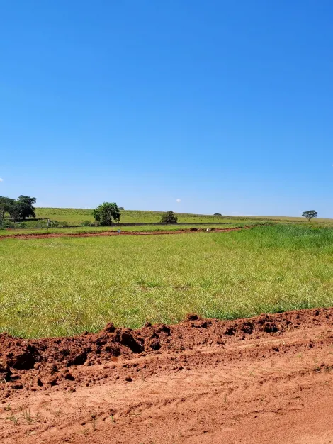 Comprar Terreno / Condom&iacute;nio em S&atilde;o Jos&eacute; do Rio Preto R$ 300.000,00 - Foto 2
