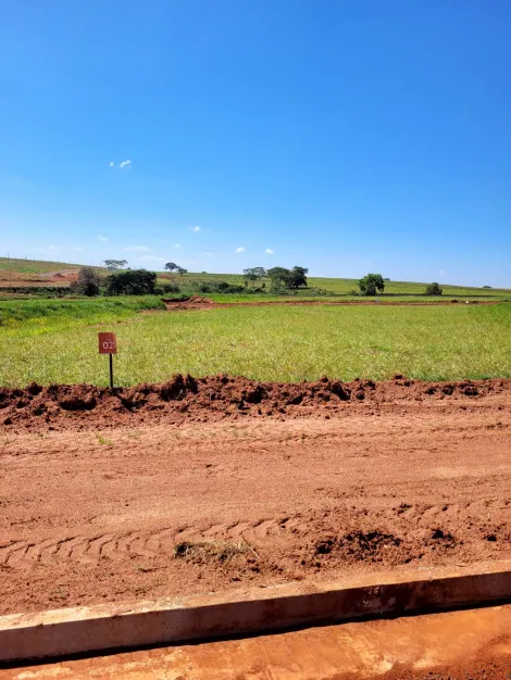 Comprar Terreno / Condom&iacute;nio em S&atilde;o Jos&eacute; do Rio Preto R$ 300.000,00 - Foto 4