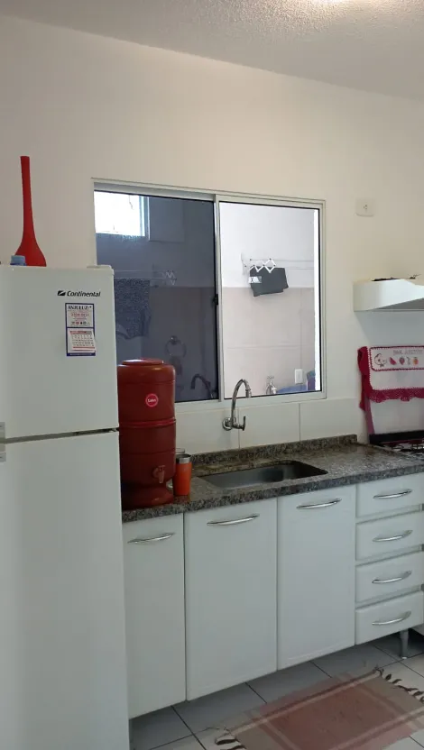 Comprar Casa / Condom&iacute;nio em S&atilde;o Jos&eacute; do Rio Preto R$ 450.000,00 - Foto 15