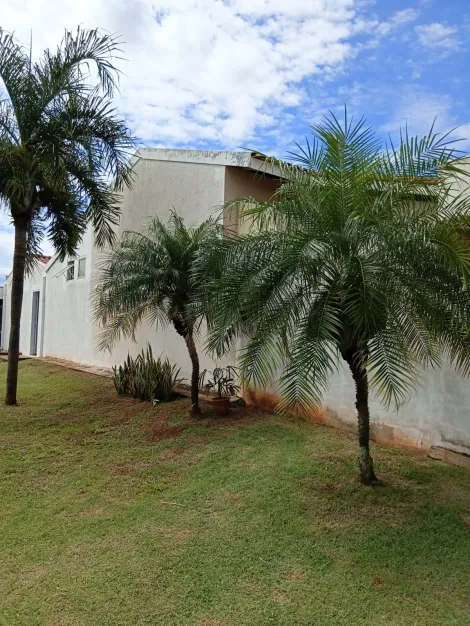 Comprar Casa / Condom&iacute;nio em S&atilde;o Jos&eacute; do Rio Preto R$ 450.000,00 - Foto 2