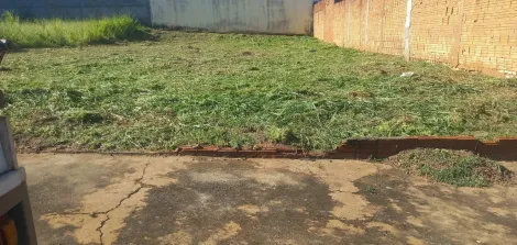 Terreno / Padr&atilde;o em Mirassol , Comprar por R$130.000,00