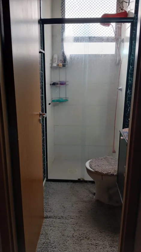 Alugar Apartamento / Padr&atilde;o em S&atilde;o Jos&eacute; do Rio Preto. apenas R$ 260.000,00