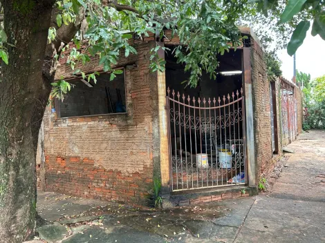 Alugar Casa / Padr&atilde;o em S&atilde;o Jos&eacute; do Rio Preto. apenas R$ 500.000,00