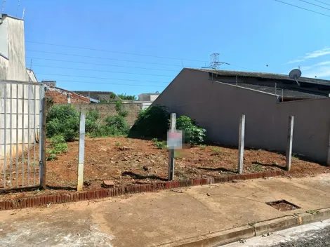 Terreno / Padr&atilde;o em S&atilde;o Jos&eacute; do Rio Preto 