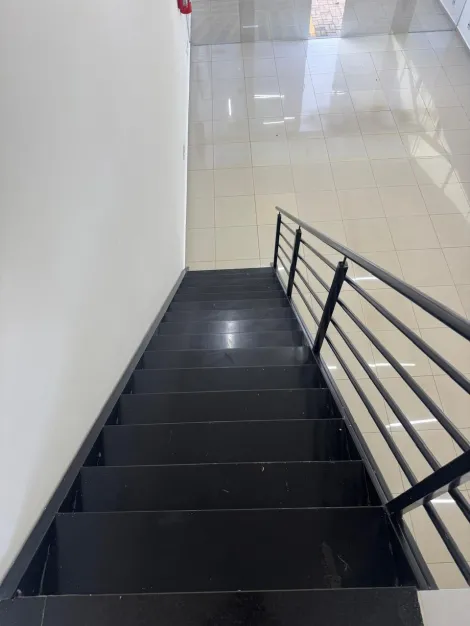 Alugar Comercial / Sal&atilde;o em S&atilde;o Jos&eacute; do Rio Preto R$ 3.800,00 - Foto 6