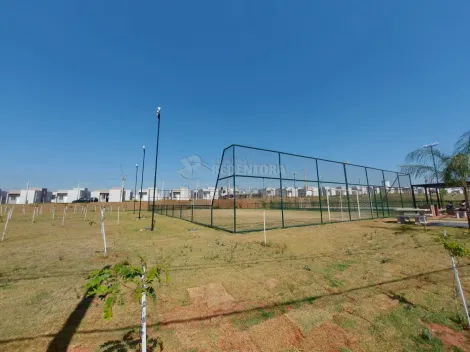 Alugar Casa / Condom&iacute;nio em S&atilde;o Jos&eacute; do Rio Preto R$ 700,00 - Foto 15