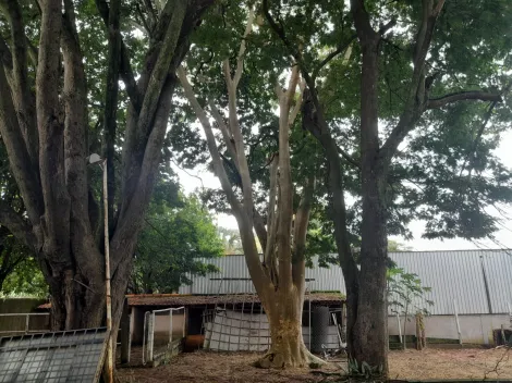 Alugar Rural / Ch&aacute;cara em S&atilde;o Jos&eacute; do Rio Preto R$ 4.800,00 - Foto 2