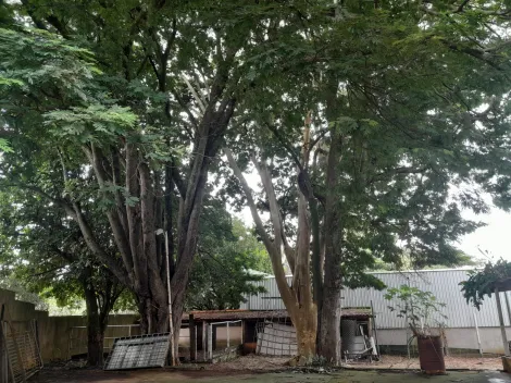 Alugar Rural / Ch&aacute;cara em S&atilde;o Jos&eacute; do Rio Preto R$ 4.800,00 - Foto 3