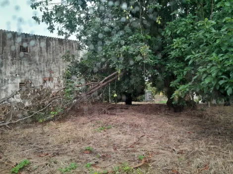 Alugar Rural / Ch&aacute;cara em S&atilde;o Jos&eacute; do Rio Preto R$ 4.800,00 - Foto 6