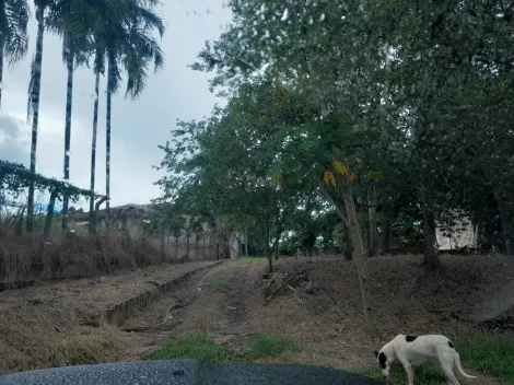 Alugar Rural / Ch&aacute;cara em S&atilde;o Jos&eacute; do Rio Preto R$ 4.800,00 - Foto 8