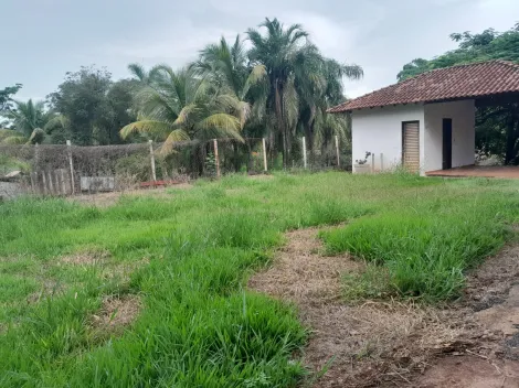 Alugar Rural / Ch&aacute;cara em S&atilde;o Jos&eacute; do Rio Preto R$ 4.800,00 - Foto 9