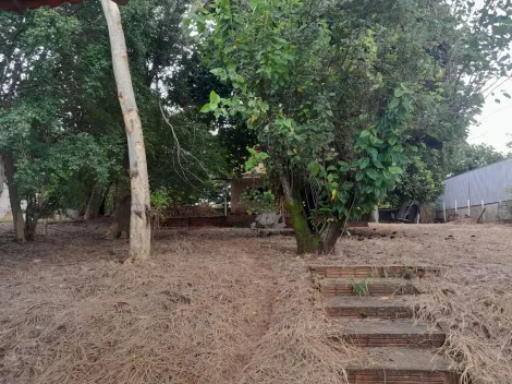 Alugar Rural / Ch&aacute;cara em S&atilde;o Jos&eacute; do Rio Preto R$ 4.800,00 - Foto 10