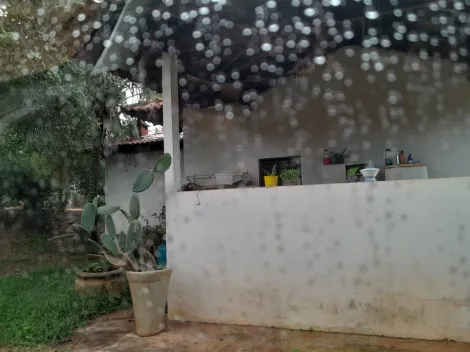 Alugar Rural / Ch&aacute;cara em S&atilde;o Jos&eacute; do Rio Preto R$ 4.800,00 - Foto 11