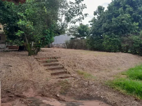 Alugar Rural / Ch&aacute;cara em S&atilde;o Jos&eacute; do Rio Preto R$ 4.800,00 - Foto 15