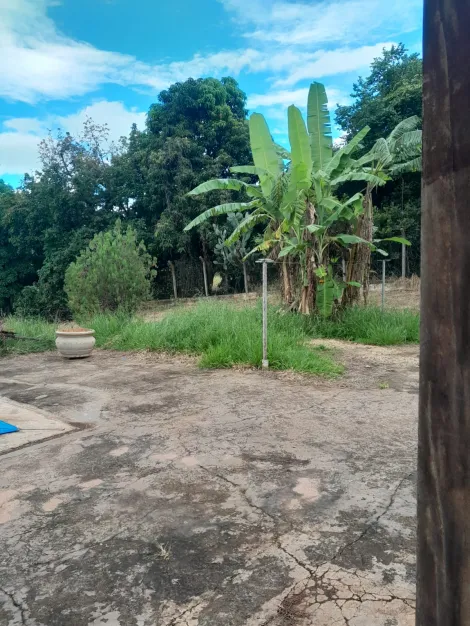 Alugar Rural / Ch&aacute;cara em S&atilde;o Jos&eacute; do Rio Preto R$ 4.800,00 - Foto 16