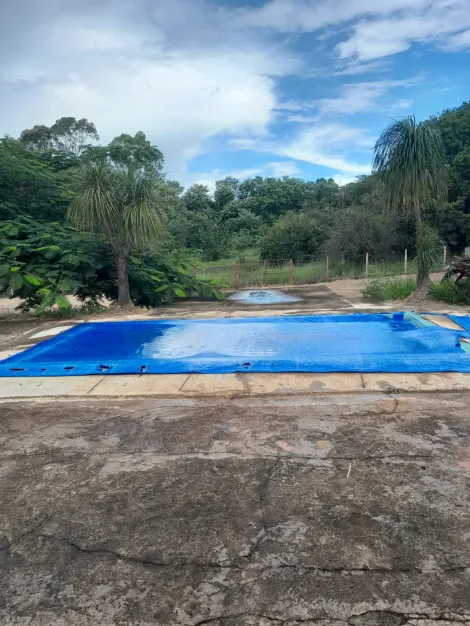 Alugar Rural / Ch&aacute;cara em S&atilde;o Jos&eacute; do Rio Preto R$ 4.800,00 - Foto 17
