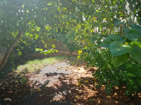 Comprar Casa / Padr&atilde;o em S&atilde;o Jos&eacute; do Rio Preto R$ 300.000,00 - Foto 32