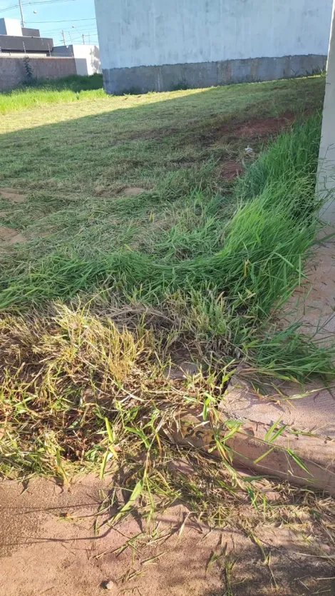 Comprar Terreno / Padr&atilde;o em Bady Bassitt R$ 80.000,00 - Foto 3